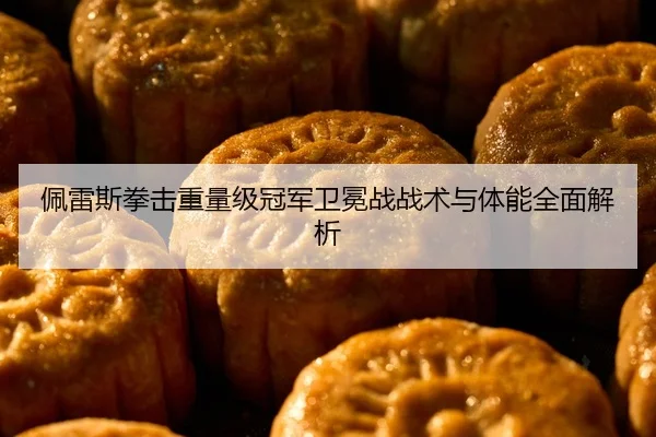 佩雷斯拳击重量级冠军卫冕战战术与体能全面解析